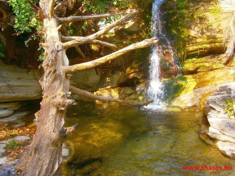 Az öreg falu, a vén platán és a folyók meséje